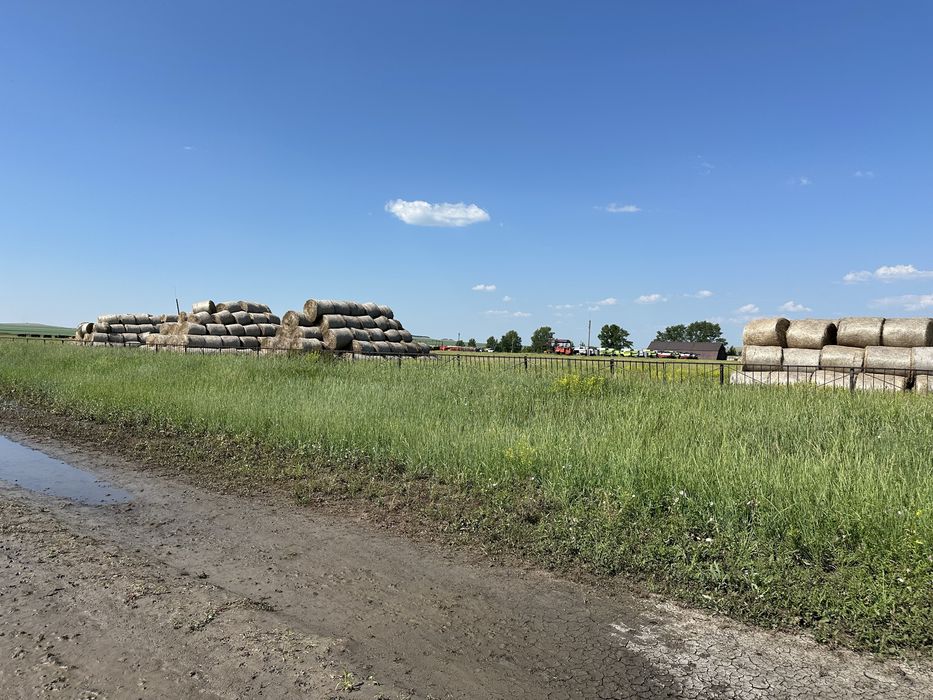 Сено в тюках от 20 тюков