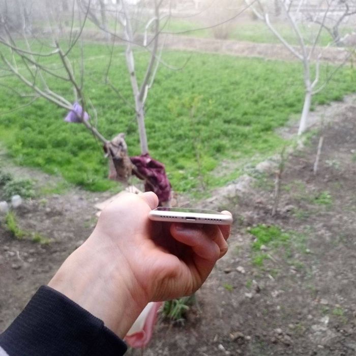 Iphone 7 naxtga kk naxtga kk naxtga kk abmen yoooooooq.