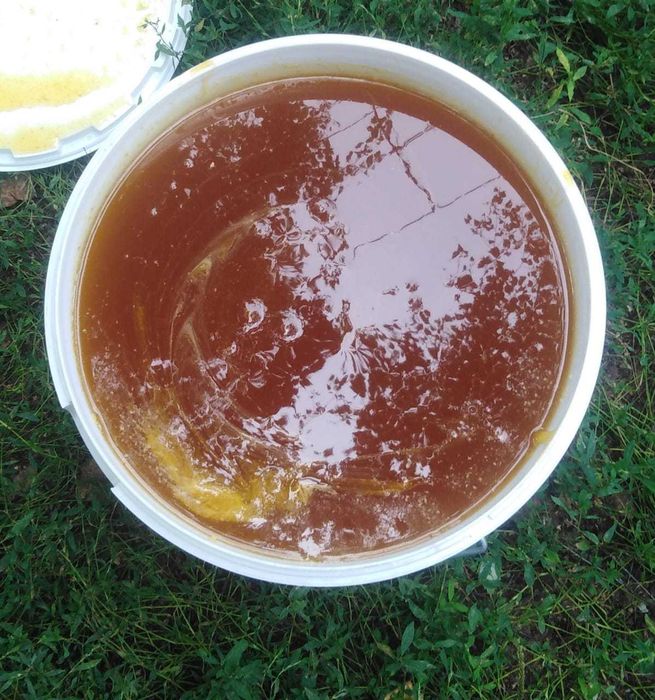 Мед светлое разнотравие