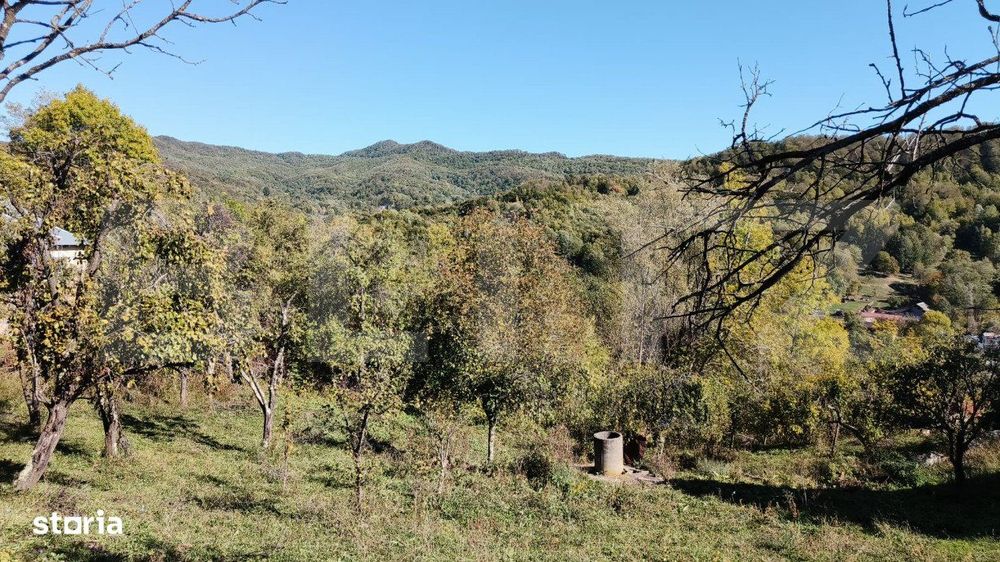 Teren cu priveliste superba , livada si potential casute de vacanta