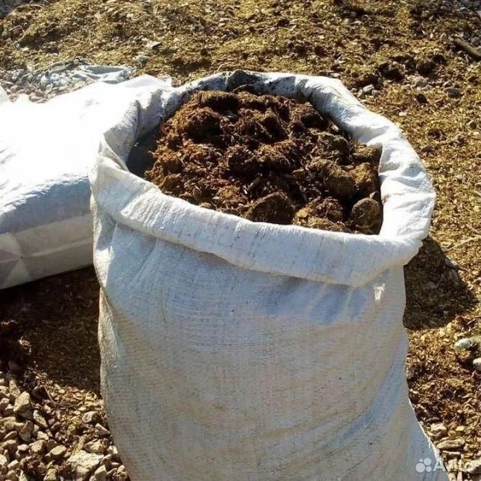 Продам конский навоз