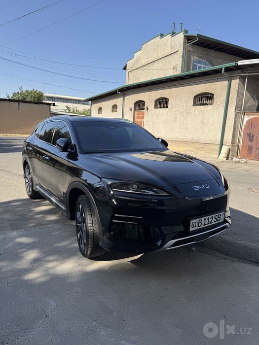 Byd chempion restyling 605