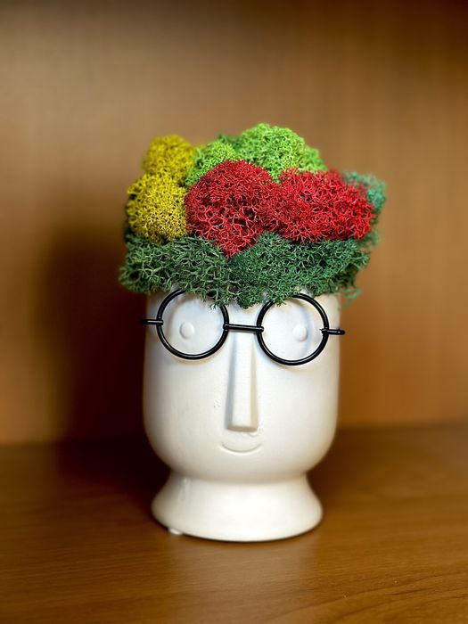 Изработвам картини със скандинавски мъх