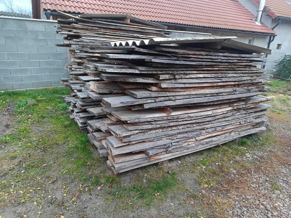 Cherestea Gorun (S, L)