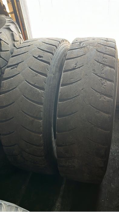 Продам шины Шахман Хова