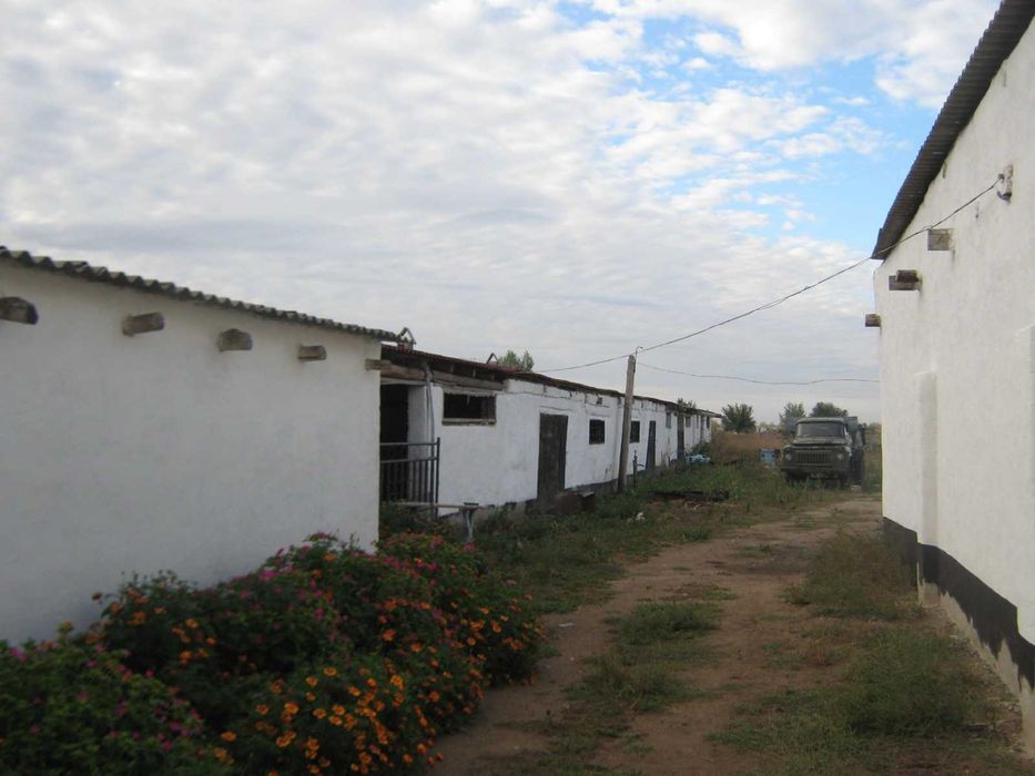 продам два дома в с. Новоямышево