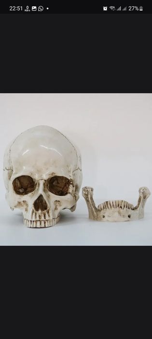 Череп Хэллоуин Статуэтка