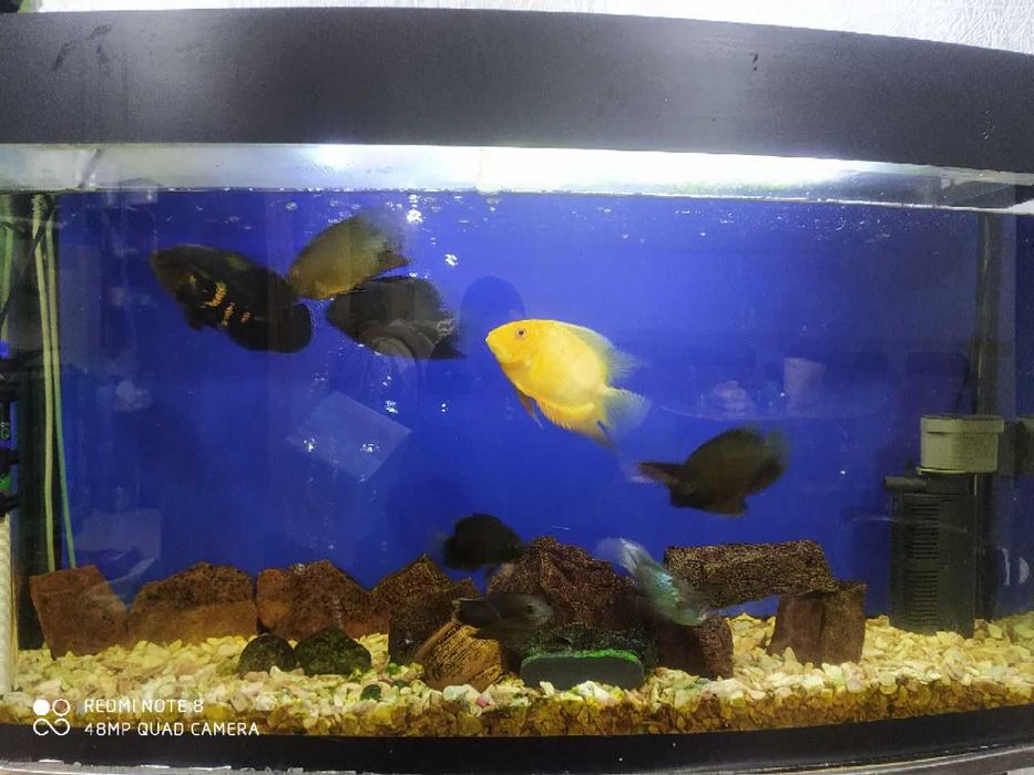 Продается аквариум 180 литров в полном комплекте