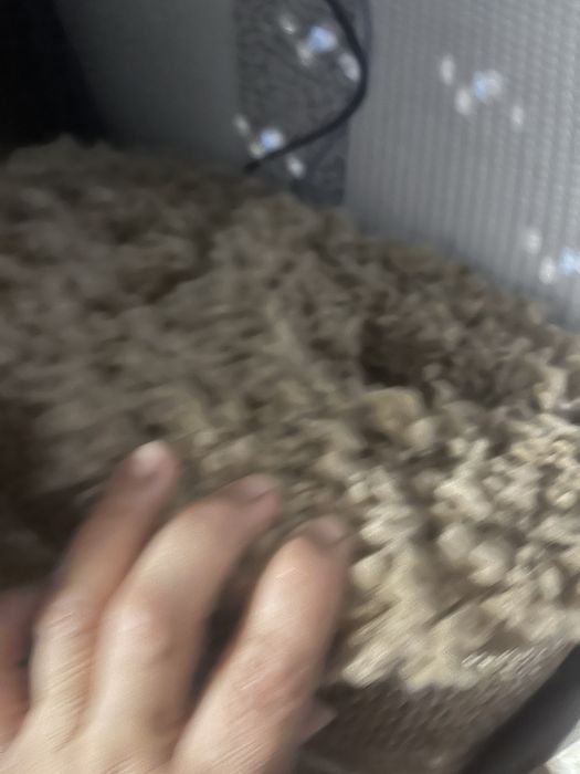 Продам ковры искуственые и натуральные