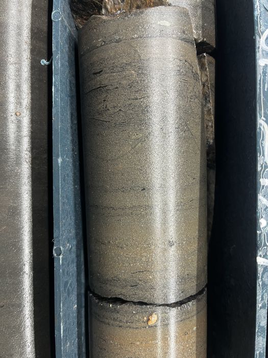 Firemax FM806 225/55 R19 99T без шипов