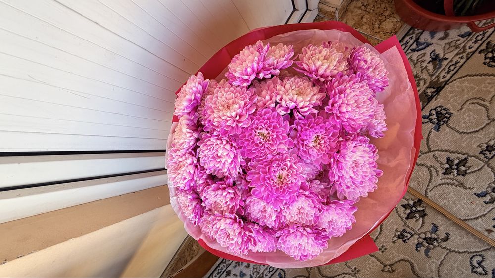 Продаются красивые цветы