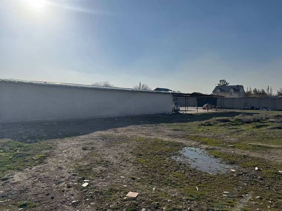 Аренда га курук йер  aredna yer  янги узбекистон