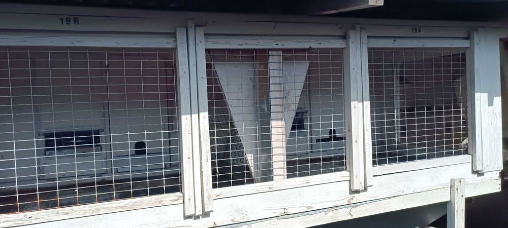 Клетки для кроликов уличного содержания