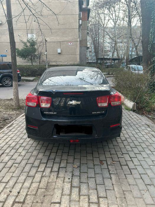 Malibu 1, 2013, 1-ая позиция