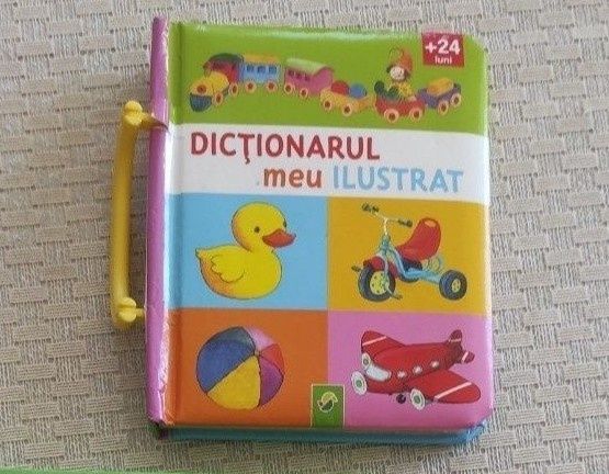 Carte ilustrata copii