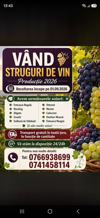 Vand struguri de vin