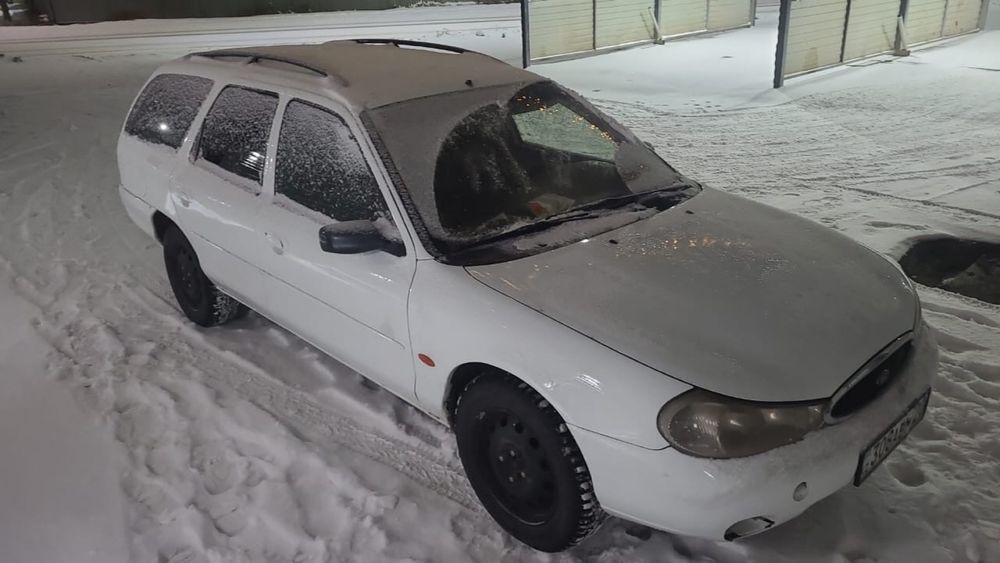 Срочно цена на пару днеи