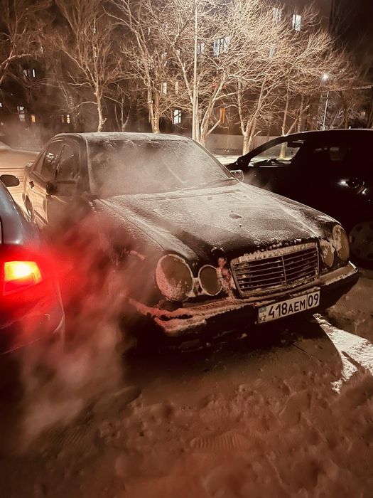 Мерседес лупарик