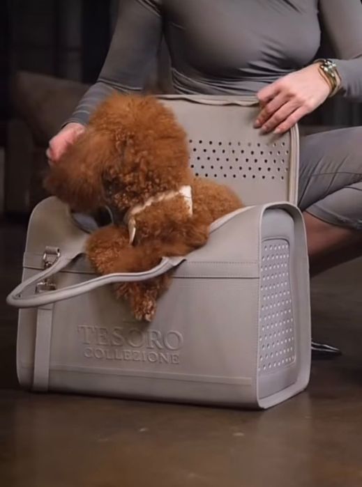 Луксозна чанта за куче Tesoro Collezione