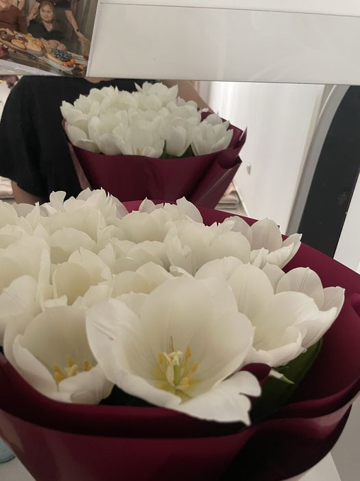 Солғанжері жоқ 19шт