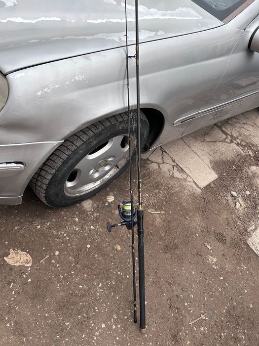 Въдица морина 0-100 акция