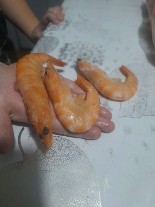 Королевские креветки