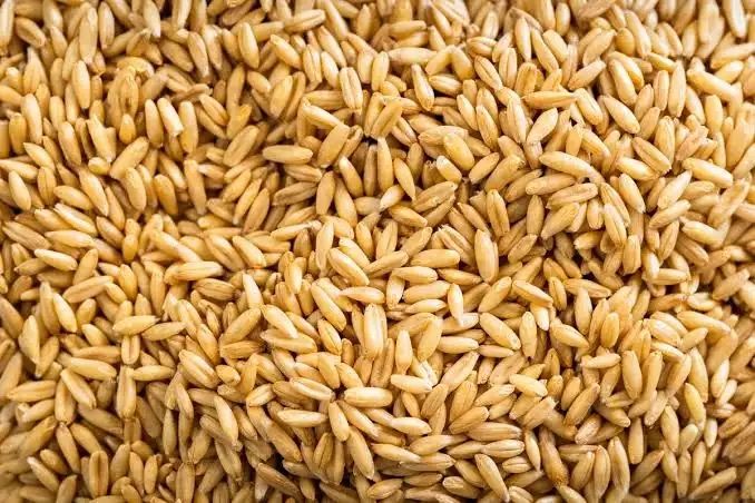 Продавам овес за животни