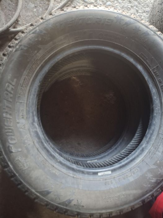 Зимние баллон китайский