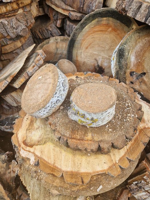Продам спилы деревьев