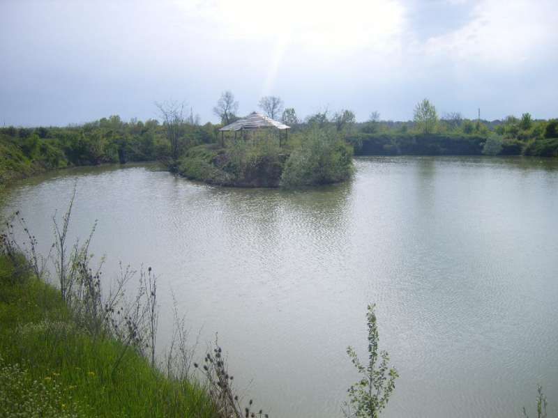 Продава се Парцел в Мизия - 21000 кв.м за 7 €/кв.м - Снимка #7