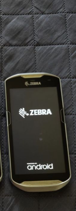 Zebra     tc  51
