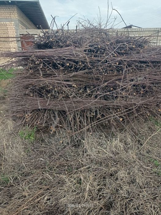 O'tin sotiladi vog'langan