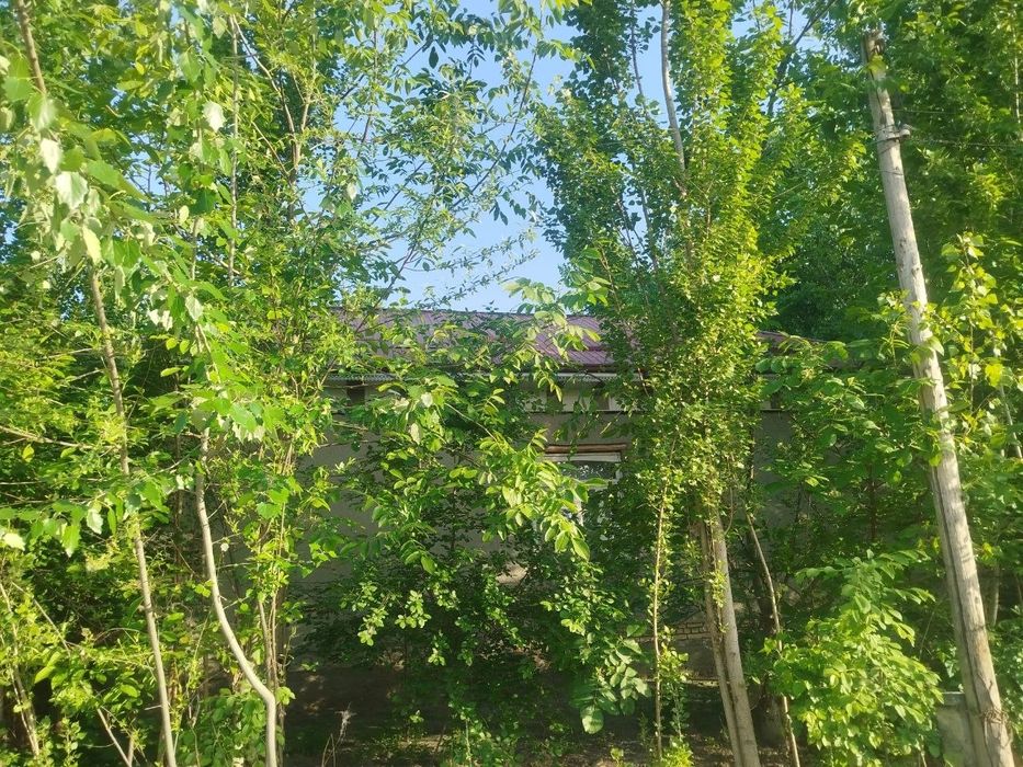 3 xonali uy sotiladi