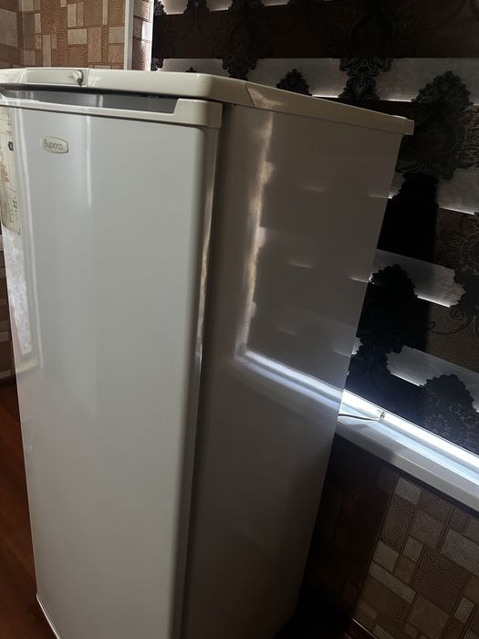 Холодилник бирюса