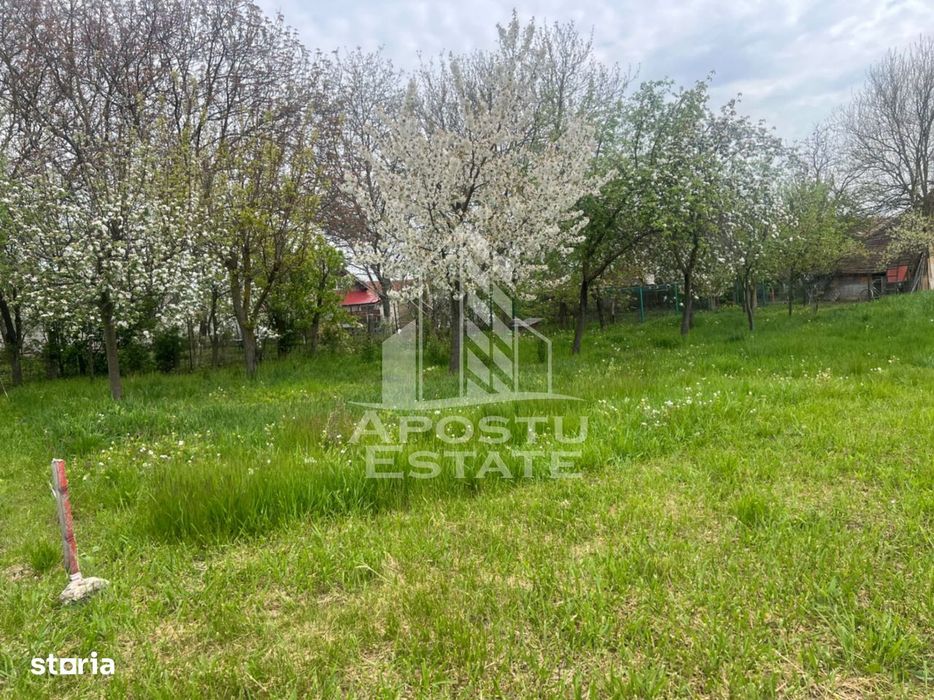Teren de vanzare, 1001 mp, vatra veche, in Sanandrei, Timis