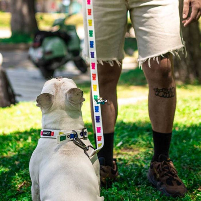 Нагръдник/Повод/Нашийник с принт на мечета за куче Кучешки каишки