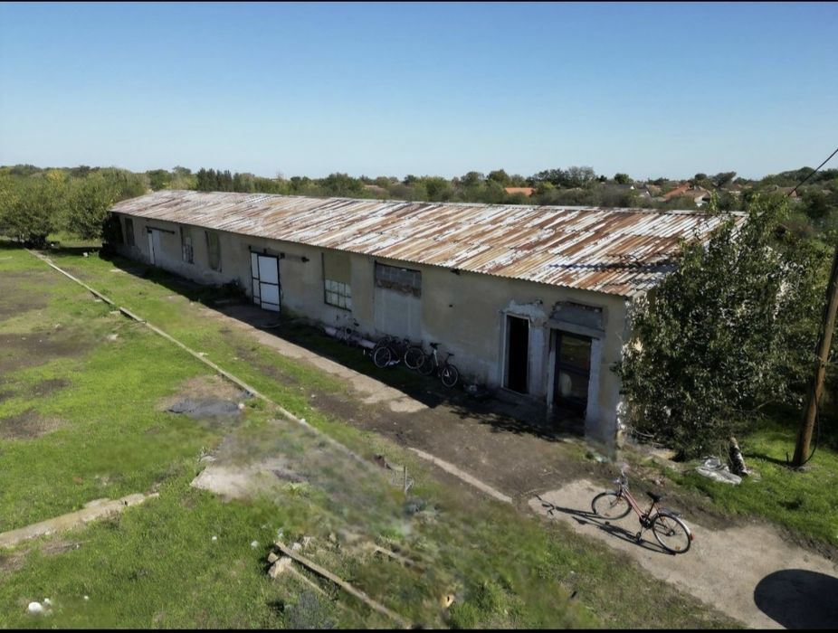 Hala de 430 mp cu teren intravilan 2,5 ha Macea