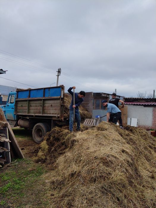 Зил с грузчиками 24/7