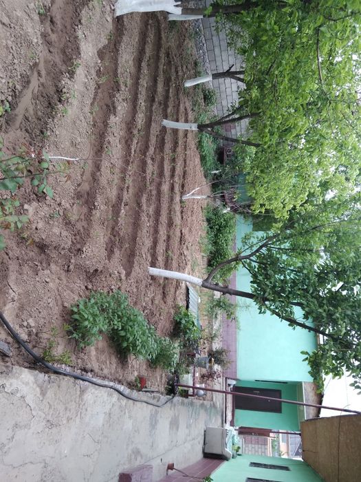 Продажа 4ком дома в мкр.Пахтакоре-2