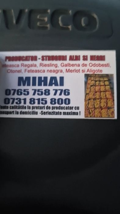 Vănd struguri de vin să transportă la domiciliul clientului