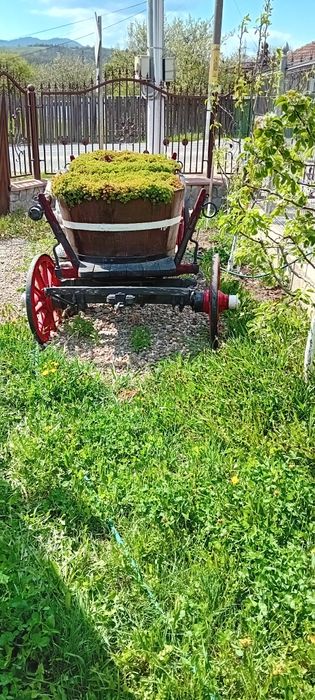 Căruță veche. Ornament gradina
