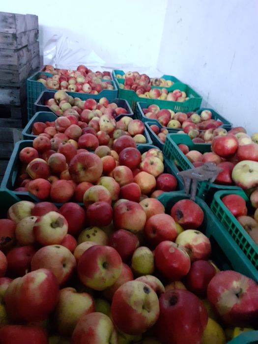 Vand mere pentru industrie/suc - depozit frigorific