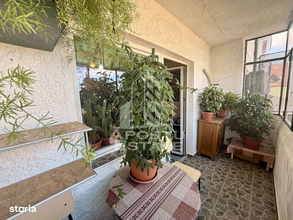 Apartament 1 camera de vanzare, zona Lunei, Timisoara