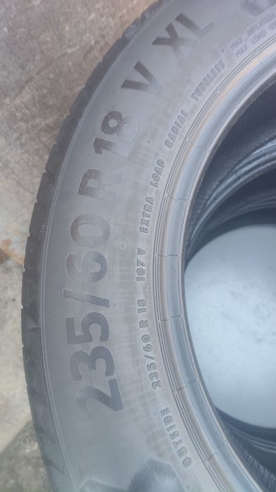 Шины континента ль лето