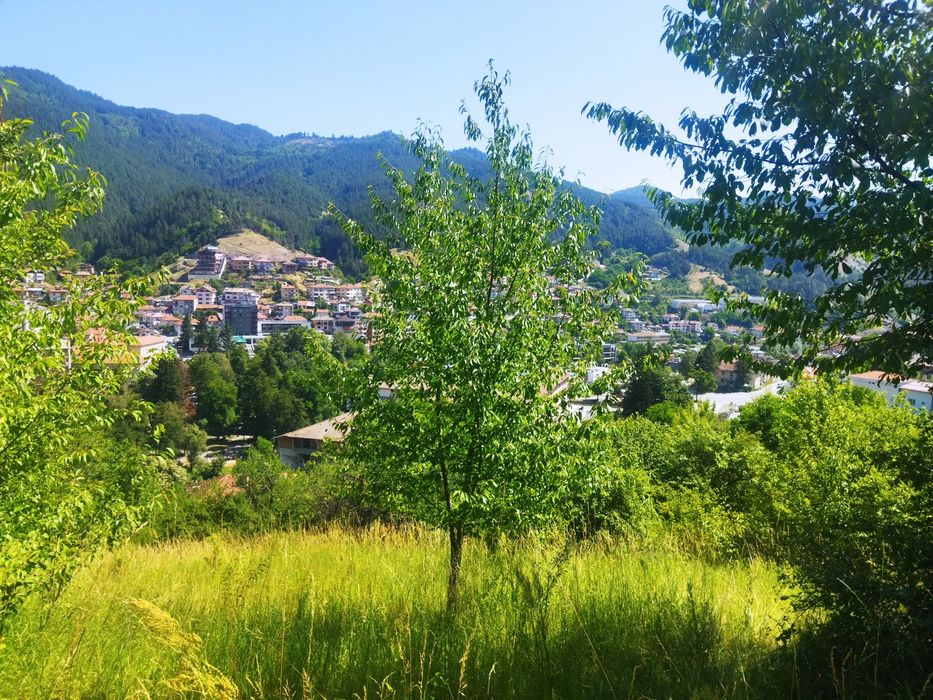 Продава се Парцел в Девин - 6627 кв.м за 61 €/кв.м - Снимка #4