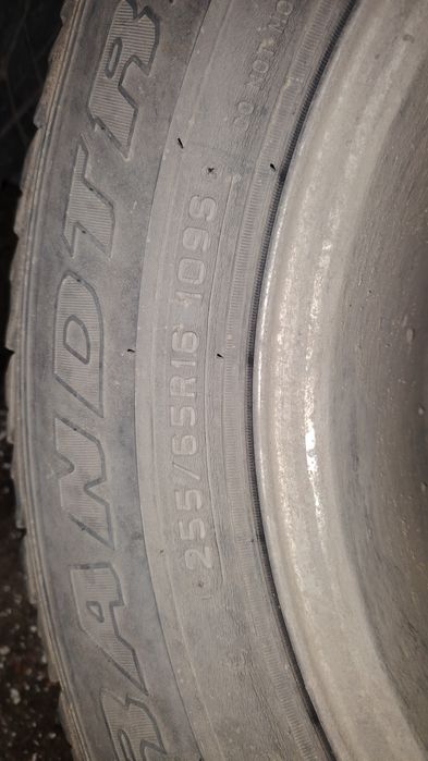 Продам пара, шины,