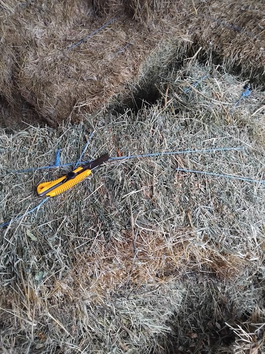 Vând Baloți Pătrați De Lucernă