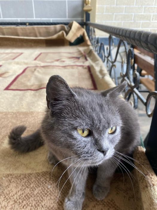 Jinsiy aloqadan charchagan