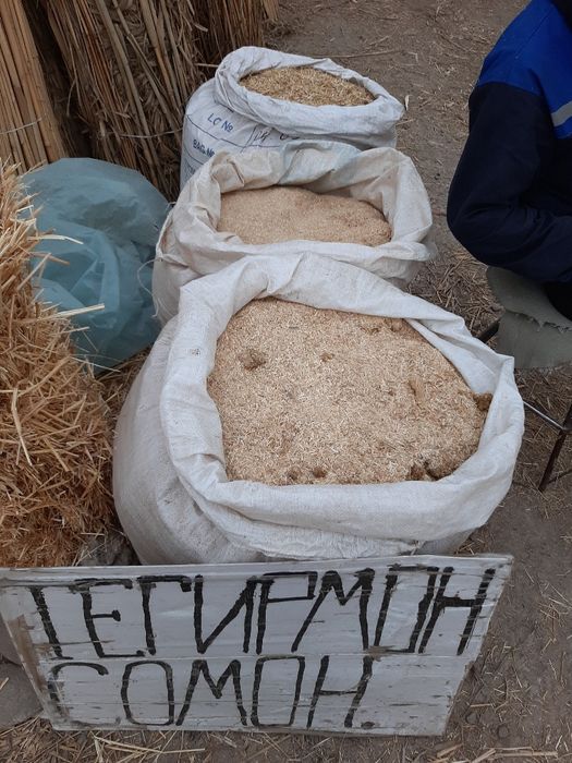 ОПТОМ. Камиш, Тегирмон Сомон, или Дробилка, ва Тахта, Гарбил Чорний,га