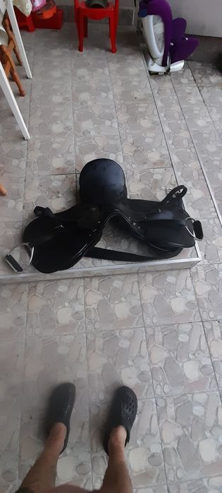 Sauă neagra din pele